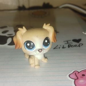 Lps (Littlest pet shop)